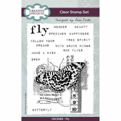 Creative Expressions Sam Poole A6 Clear Stamp Set - Fly