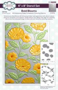 Creative Expressions 3D Embossing Folder Companion Colouring Stencil - Bold Blooms