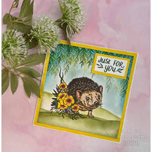 Creative Expressions Designer Boutique A6 Clear Stamp - Over the Hedge