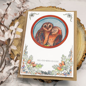 Pink Ink Designs A5 Clear Stamp Set - Wings Series : An Owl In The Hand