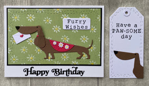 Afternoon Workshop Sunday 14th July 2024 - Cats, Dogs, Birthdays & Florals