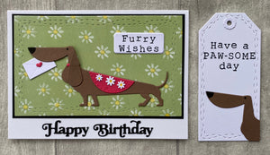 All Day Workshop Sunday 14th July 2024 - Cats, Dogs, Birthdays & Florals