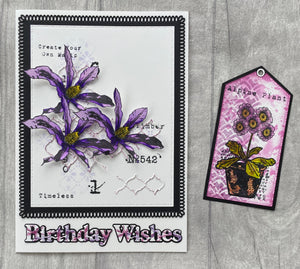 Tracy Evans Boutique Designs A6 Stamp Set TE5 - Clematis