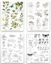 Arden Creative Studio Garden Chronicles Essentials Rub-On Transfer Set