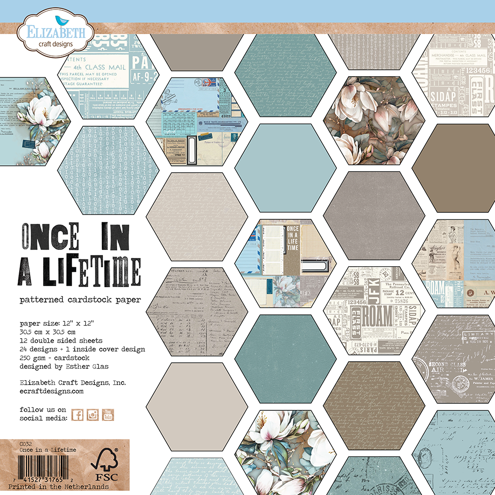 Elizabeth Craft Designs 12 x 12 Paper Pad - Once In A Lifetime