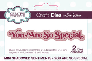Dies by Sue Wilson Mini Shadowed Sentiments - You Are So Special