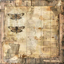 Creative Expressions Tracie Fox Creative - Entomology 8 x 8 Paper Pad