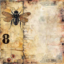 Creative Expressions Tracie Fox Creative - Entomology 8 x 8 Paper Pad