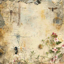 Creative Expressions Tracie Fox Creative - Entomology 8 x 8 Paper Pad