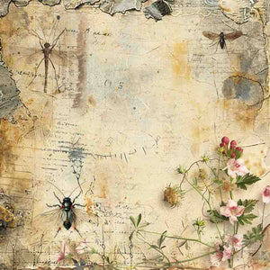 Creative Expressions Tracie Fox Creative - Entomology 8 x 8 Paper Pad