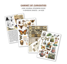 Ciao Bella Cabinet of Curiosities A4 Junk Journal Ephemera Book