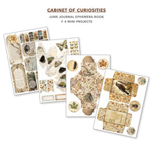 Ciao Bella Cabinet of Curiosities A4 Junk Journal Ephemera Book