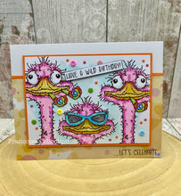 Woodware A6 Clear Stamp Set - Crazy Bird