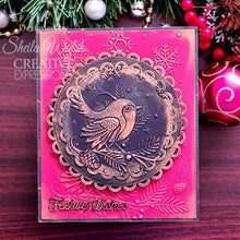 Creative Expressions 5 x 7 3D Embossing Folder - Robin & Snowflakes