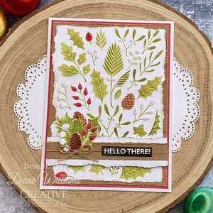 Creative Expressions 3D Embossing Folder Companion Colouring Stencil - Winter Foliage