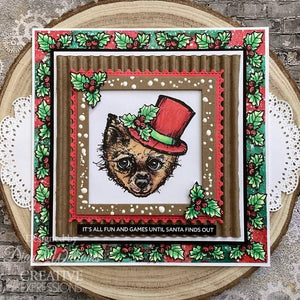 Creative Expressions Jane Davenport A5 Clear Stamp Set - Santa Paws