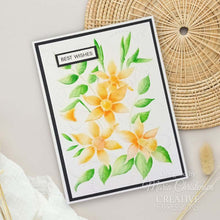 Creative Expressions 5 x 7 3D Embossing Folder - Daffodil Dreams