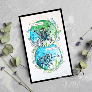 Creative Expressions Designs by Dora A5 Clear Stamp Set - Toadally Awesome