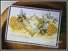 Pink Ink Designs A5 Clear Stamp Set - Wings Series : Flight Of The Bumblebee