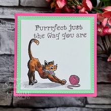 Creative Expressions Designer Boutique A5 Clear Stamp Set - Feline Good