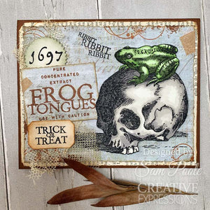 Creative Expressions Sam Poole A5 Clear Stamp Set - Halloween Frogs