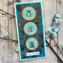 Creative Expressions Tracie Fox Creative A5 Clear Stamp Set - Entomology Passport Elements