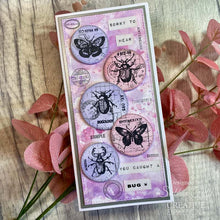 Creative Expressions Tracie Fox Creative A5 Clear Stamp Set - Entomology Passport Elements