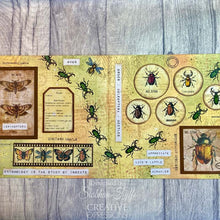 Creative Expressions Tracie Fox Creative A5 Clear Stamp Set - Entomology Passport Elements