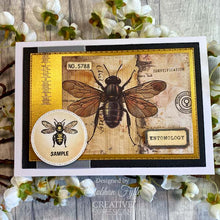 Creative Expressions Tracie Fox Creative A5 Clear Stamp Set - Entomology Passport Elements