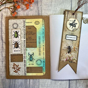 Creative Expressions Tracie Fox Creative A6 Clear Stamp - Passport Background