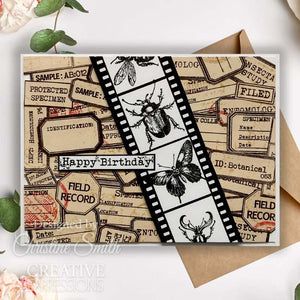 Creative Expressions Tracie Fox Creative A6 Clear Stamp - Passport Background