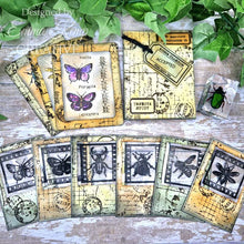 Creative Expressions Tracie Fox Creative A5 Clear Stamp Set - Bugology Negatives