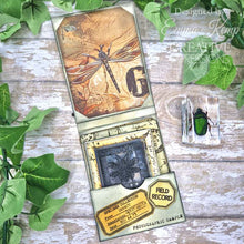 Creative Expressions Tracie Fox Creative A6 Clear Stamp - Passport Background