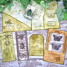 Creative Expressions Tracie Fox Creative A5 Clear Stamp Set - Entomology Passport Elements