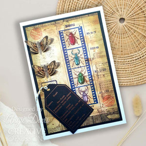 Creative Expressions Tracie Fox Creative A5 Clear Stamp Set - Bugology Negatives