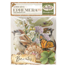 Stamperia All Around - Ephemera