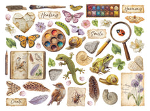 Stamperia All Around - Die Cuts