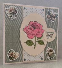 Phill Martin Sentimentally Yours A5 Clear Stamp Set - Enchanted Blooms Fabulous Flowers