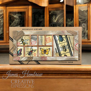 Creative Expressions Tracie Fox Creative A5 Clear Stamp Set - Bugology Negatives