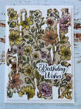 Woodware A6 Clear Stamp - Meadowsweet