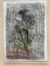 Pre-Loved : Sentimentally Yours A6 Stamp - Woodgrain Botanicals : Thistles