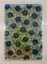 Pre-Loved : Sentimentally Yours A6 Stamp - Sunflower Parade : Exquisite