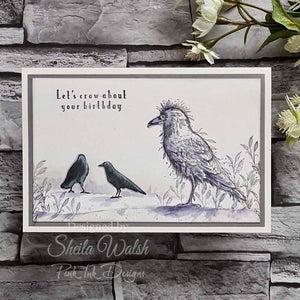 Pink Ink Designs A5 Clear Stamp Set - Wings Series : Rook & Roll