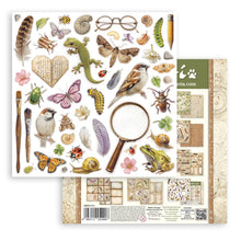 Stamperia All Around - 8 x 8 Double-Sided Paper Pad