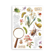 Stamperia All Around - Washi Pad