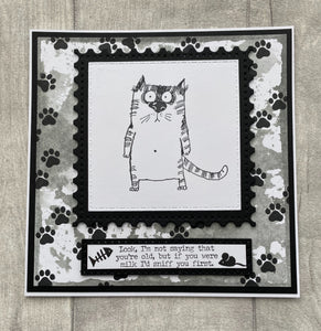 Tim Holtz Rubber Stamp Set - Snarky Cat