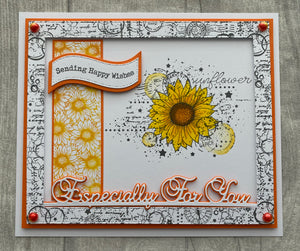 Phill Martin Sentimentally Yours A6 Clear Stamp - Sunflower Parade : Gorgeous
