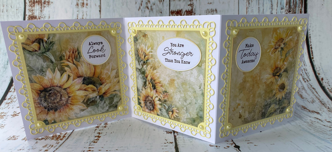 Afternoon Workshop Sunday 15th June 2025 - Summer