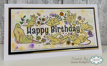 Creative Expressions DL Clear Stamp - Birthday Cats