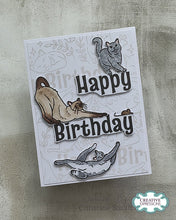 Creative Expressions DL Clear Stamp - Birthday Cats